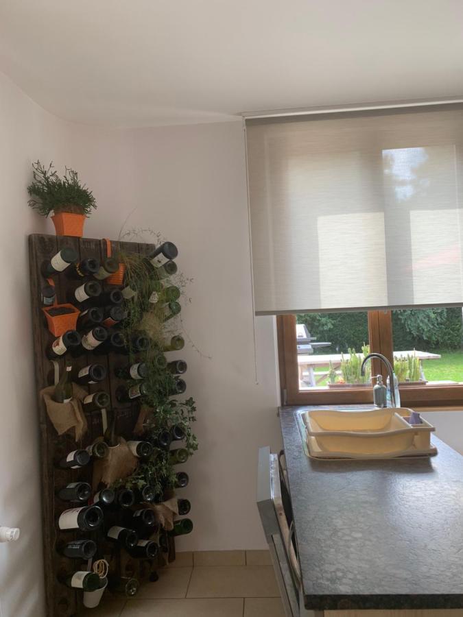 Les Hirondelles Wintzenheim Exterior foto